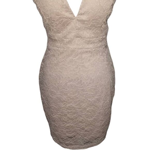 WINDSOR NATURAL/BLUSH LACE DRESS SZ.L NWT. - Picture 7 of 12